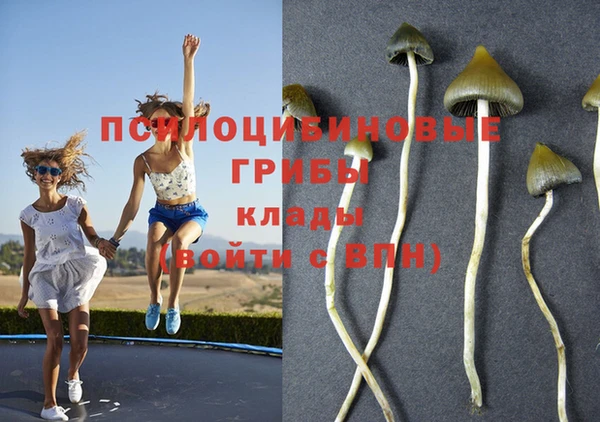 альфа пвп Алексеевка